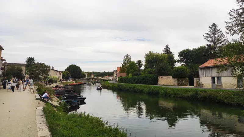 Coulon-2
