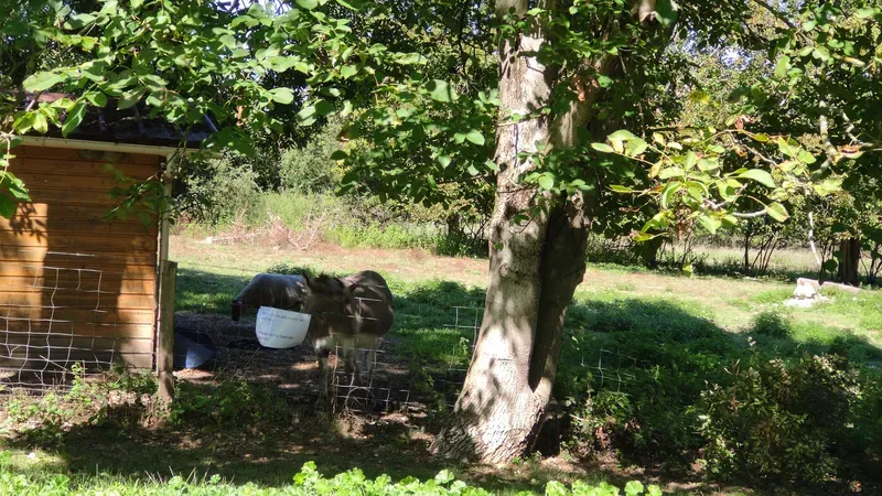 Saint-Vulbas-1
