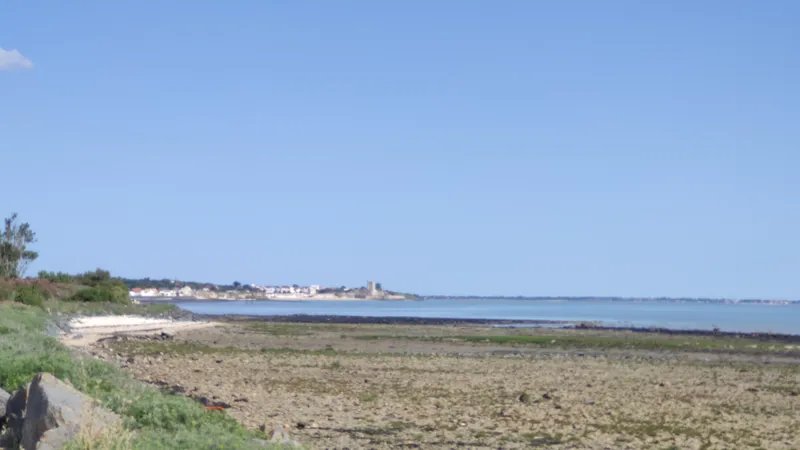 Fouras-13