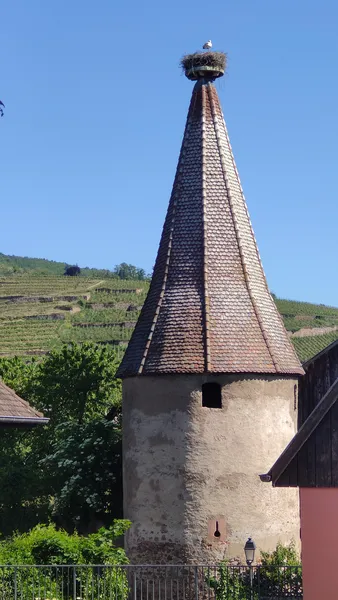 Kayseberg-1