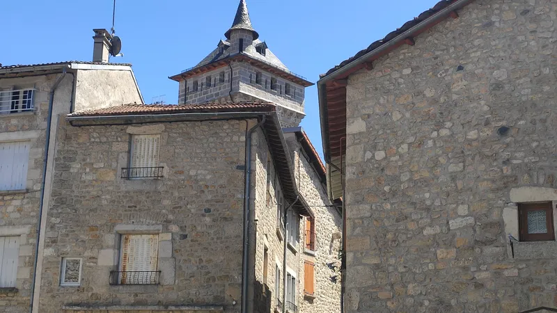 Le Malzieu Ville