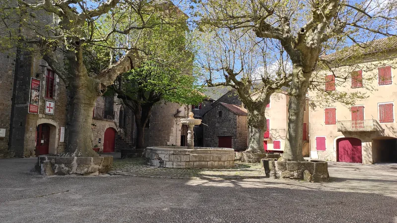 Sainte-Eulalie-de-Cernon 2